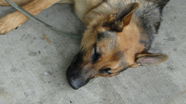 Arlo Knapp had way too much fun at the 2013 Knapp Family Reunion!